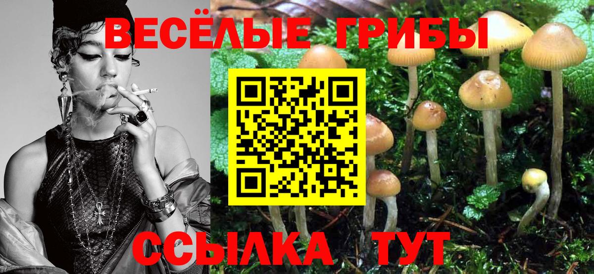 Галлюциногенные грибы мицелий Богородск