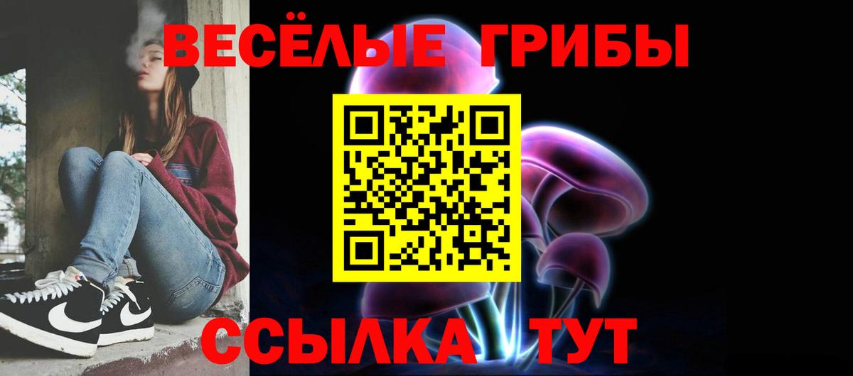 Богородск  где можно купить   Вход с VPN  Псилоцибиновые грибы GOLDEN TEACHER 